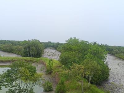 trip-to-sundarban